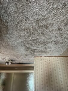 Water damage done to roof